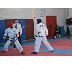 Προκήρυξη Πανελληνίου Πρωταθλήματος Taekwon-Do ITF Α/Γ 2019